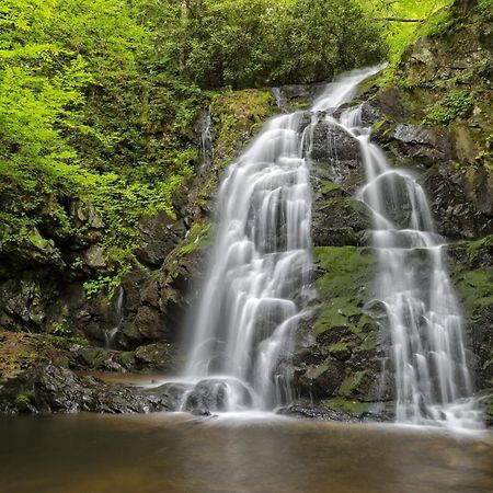 Hidden Memories, Hot Tub, 1089 Of Free Attraction Tickets For Each Paid Day, Dollywood And More 蓋特林堡 外观 照片